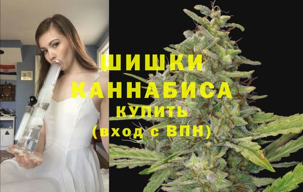 молекула духа Бугульма