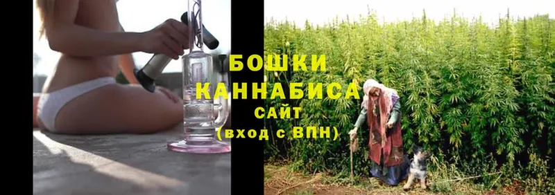 где купить наркоту  Ярцево  Бошки марихуана OG Kush 